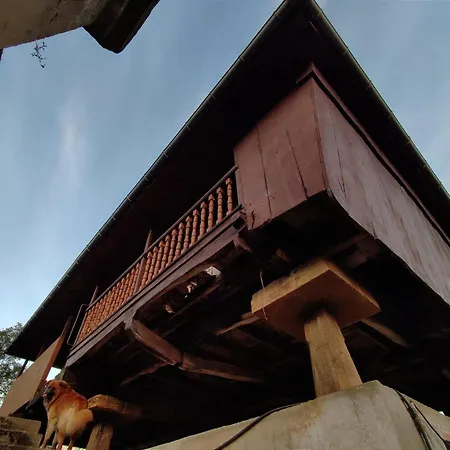 Bed & Breakfast Casa Selmo 3*