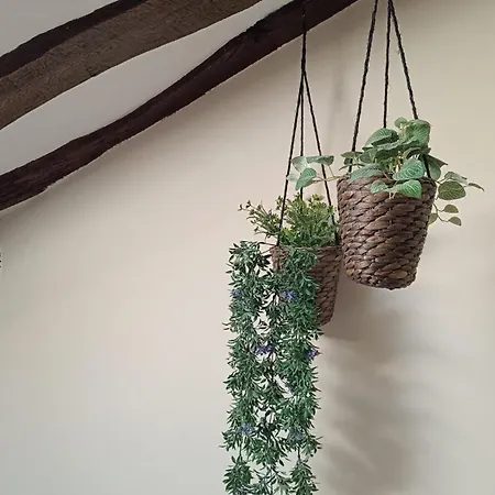 Casa Selmo *