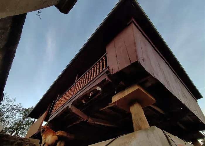 Bed and breakfast Casa Selmo 3*