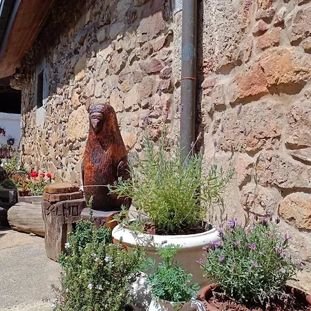 Casa Selmo Bed & Breakfast Carreno